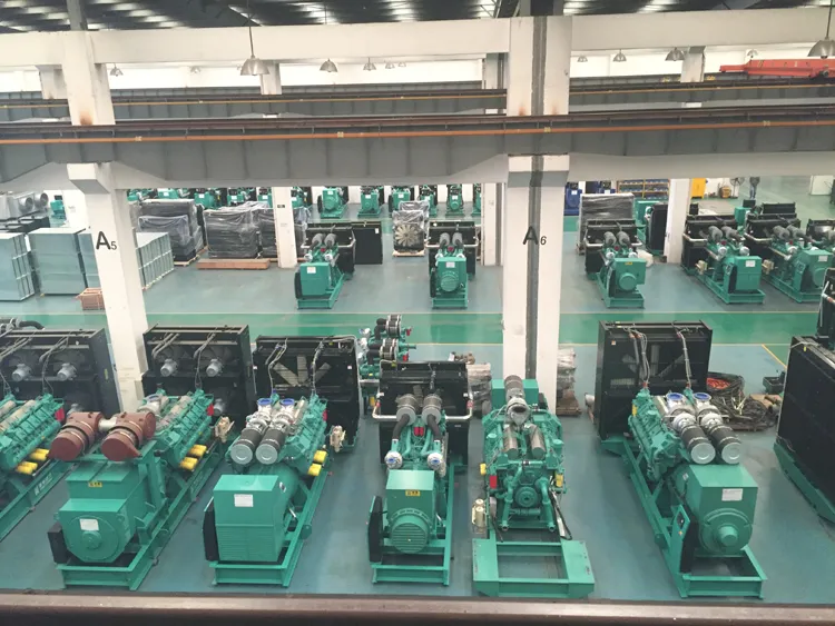 1000kVA Us-China Googol Efficiency Electric Generator