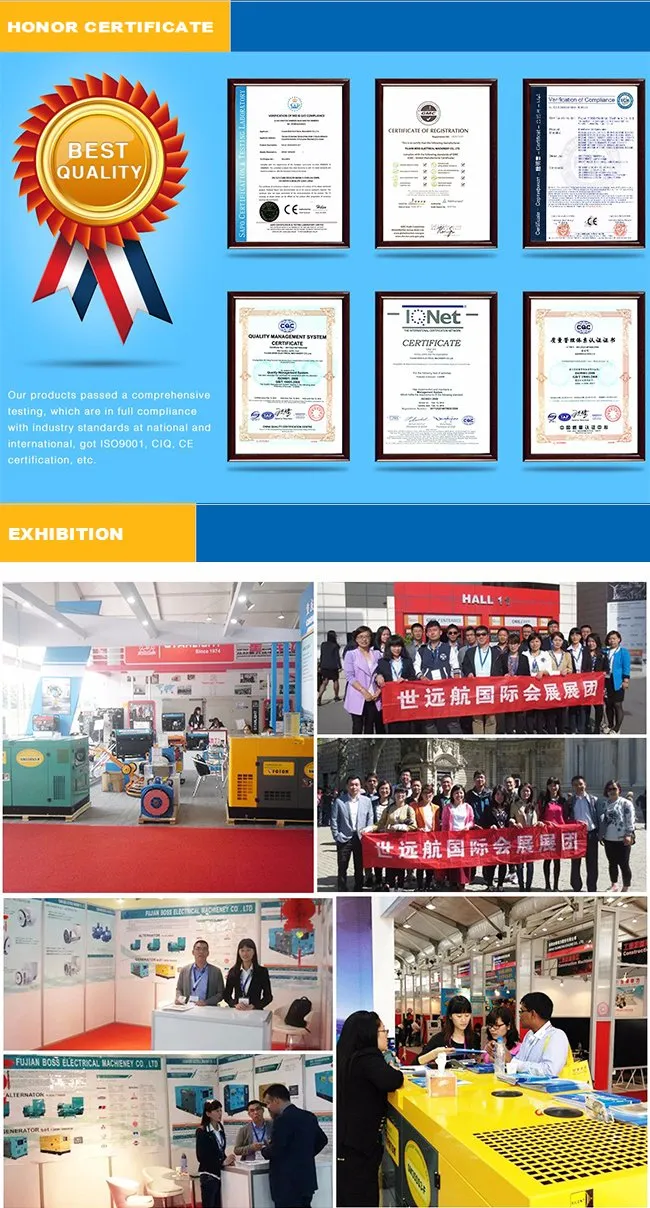 250kw Prime Power Diesel Generator Digital Controller Powered by Bf6m1015c-La-G3a