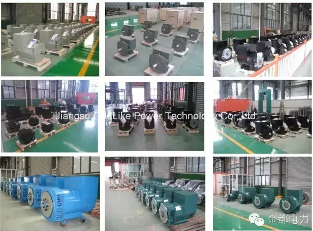 40kw 55kw 65kw 75kw Self-Excited Brushless Alternator Price