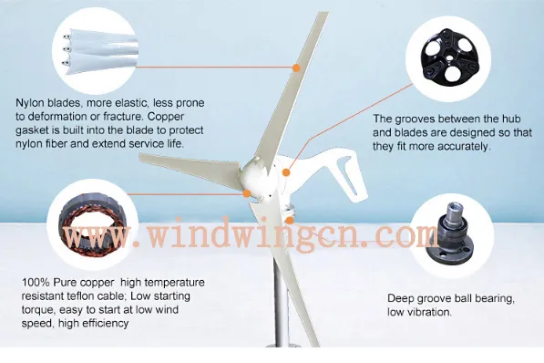 600W Horizontal Axis Wind Generator (WKH-600)