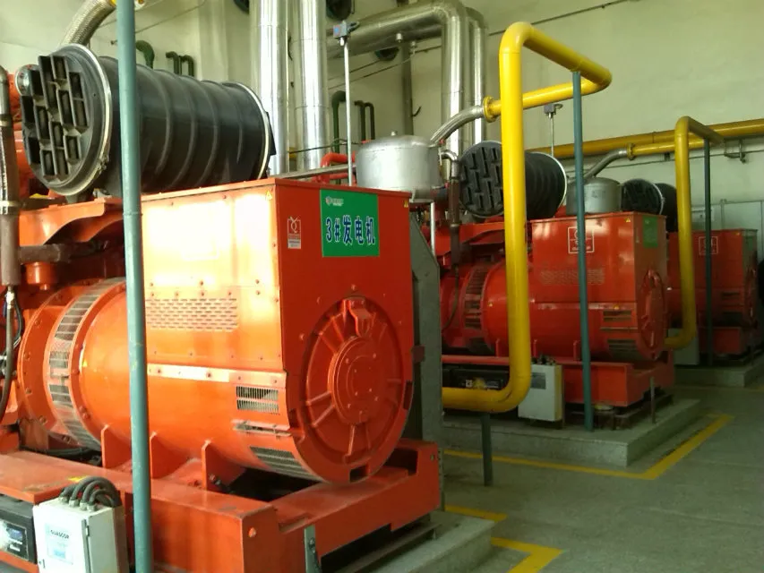 62.5kVA Biogas Power Generator Sets