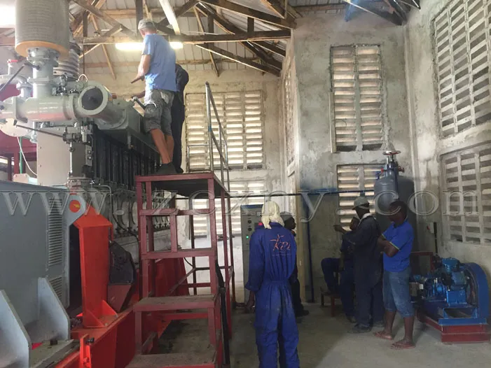 Biogas Generator CHP Cogeneration Power Plant