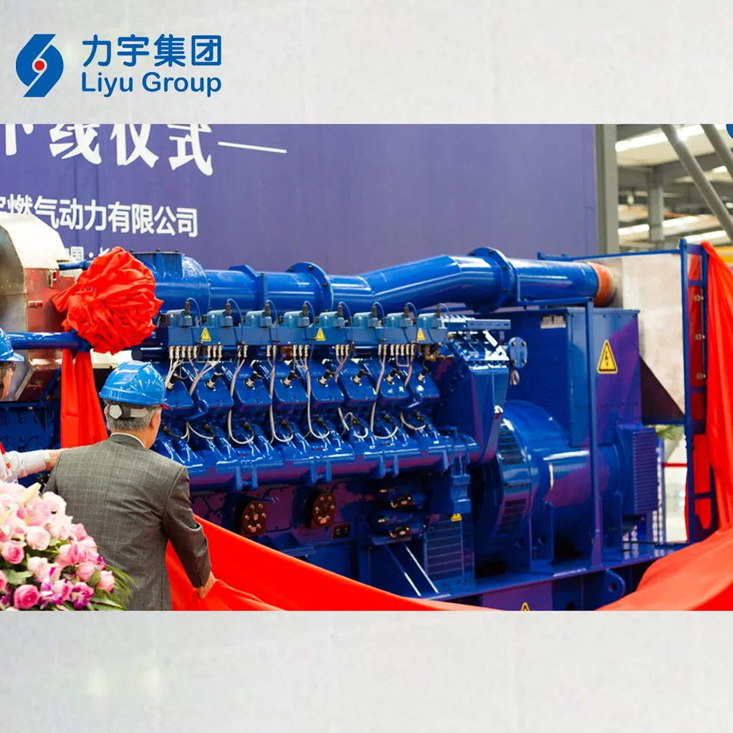 China Liyu Gas Power 1MW/1000kw 12V Cylinder Low Voltage High Concentration Methane Gas Generators Genset