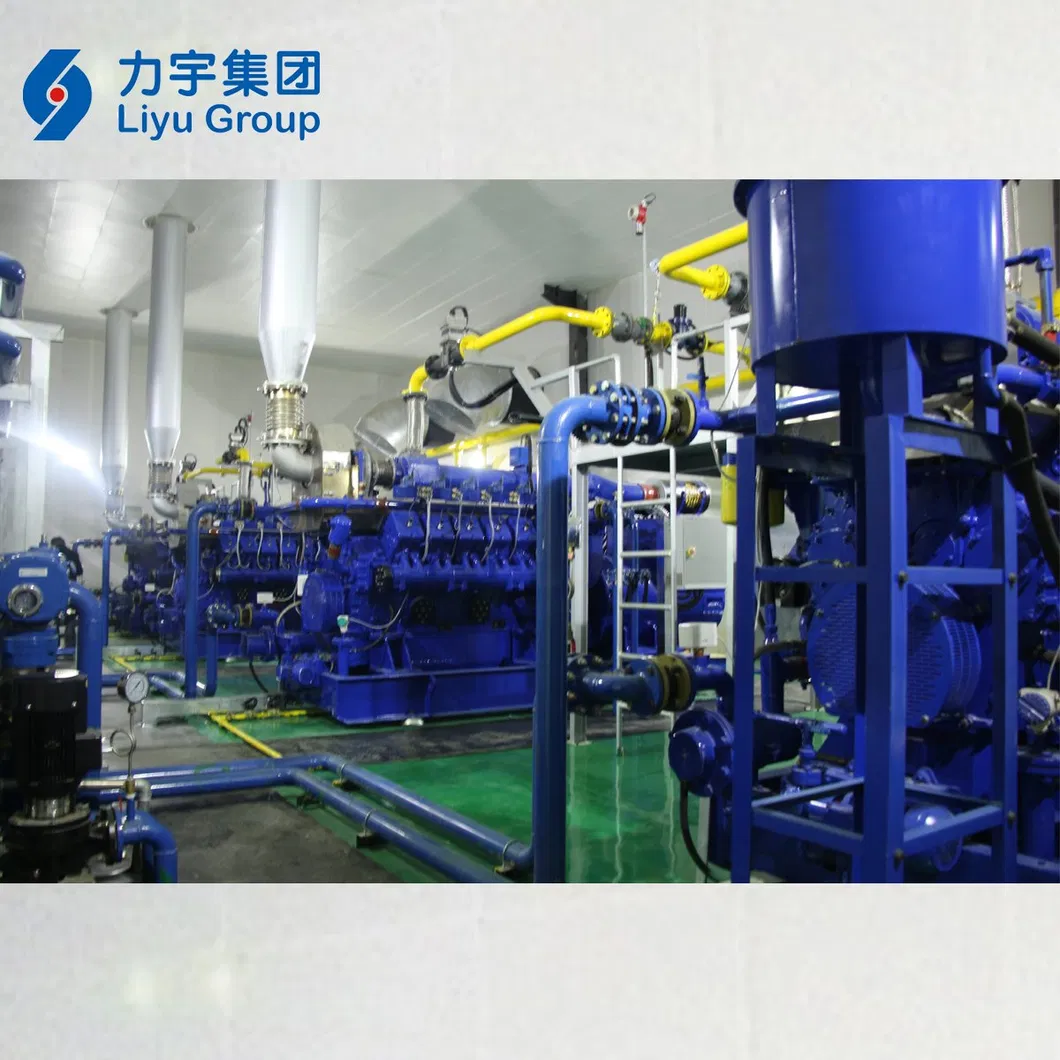 China Liyu Gas Power 1MW/1000kw 12V Cylinder Low Voltage High Concentration Methane Gas Generators Genset