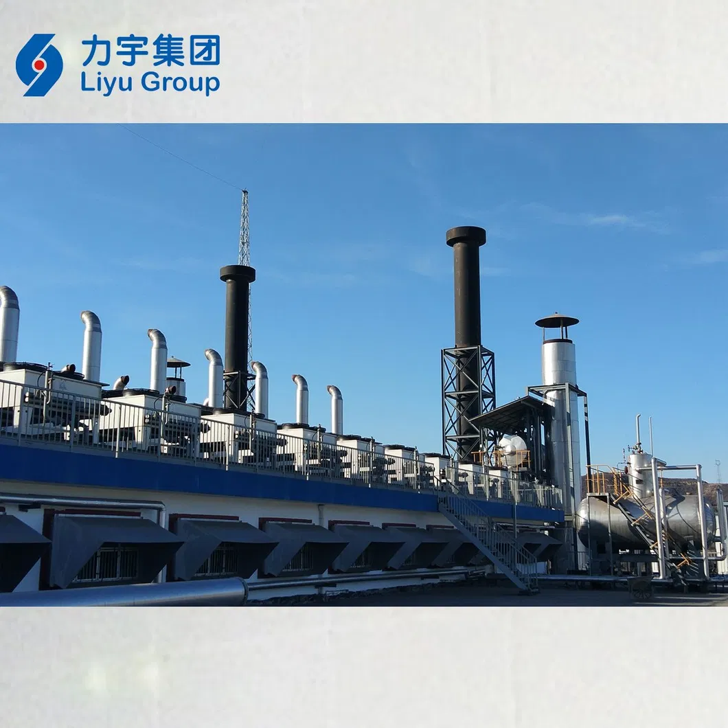 China Liyu Gas Power 1MW/1000kw 12V Cylinder Low Voltage High Concentration Methane Gas Generators Genset