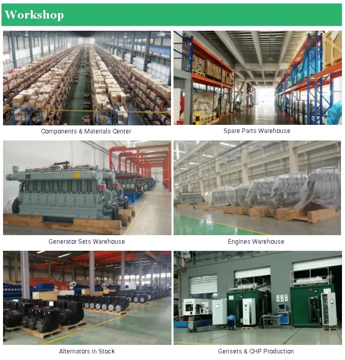 Cow Dung Gasifier Power Generation System