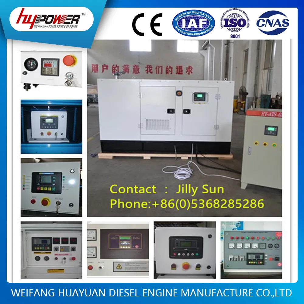 Green Source, Hot Selling! 250kw Deutz Engine Gas Generator Set