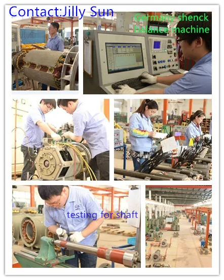 Green Source, Hot Selling! 250kw Deutz Engine Gas Generator Set