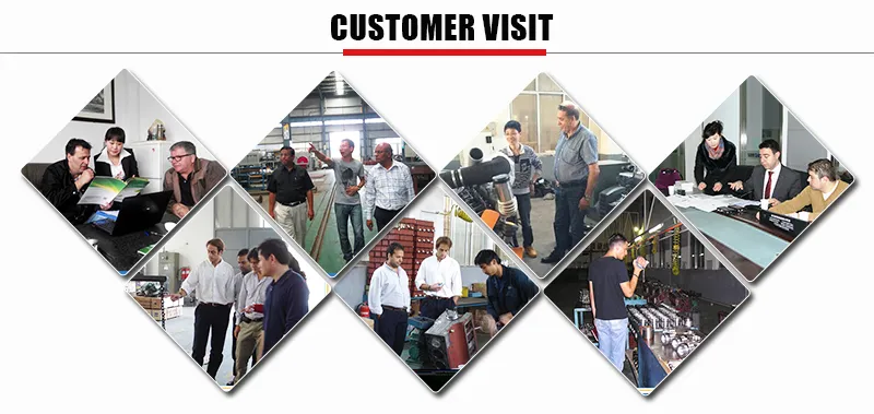 High Quality 240kw Natural Gas/Biogas/LPG Generator Set with ATS System