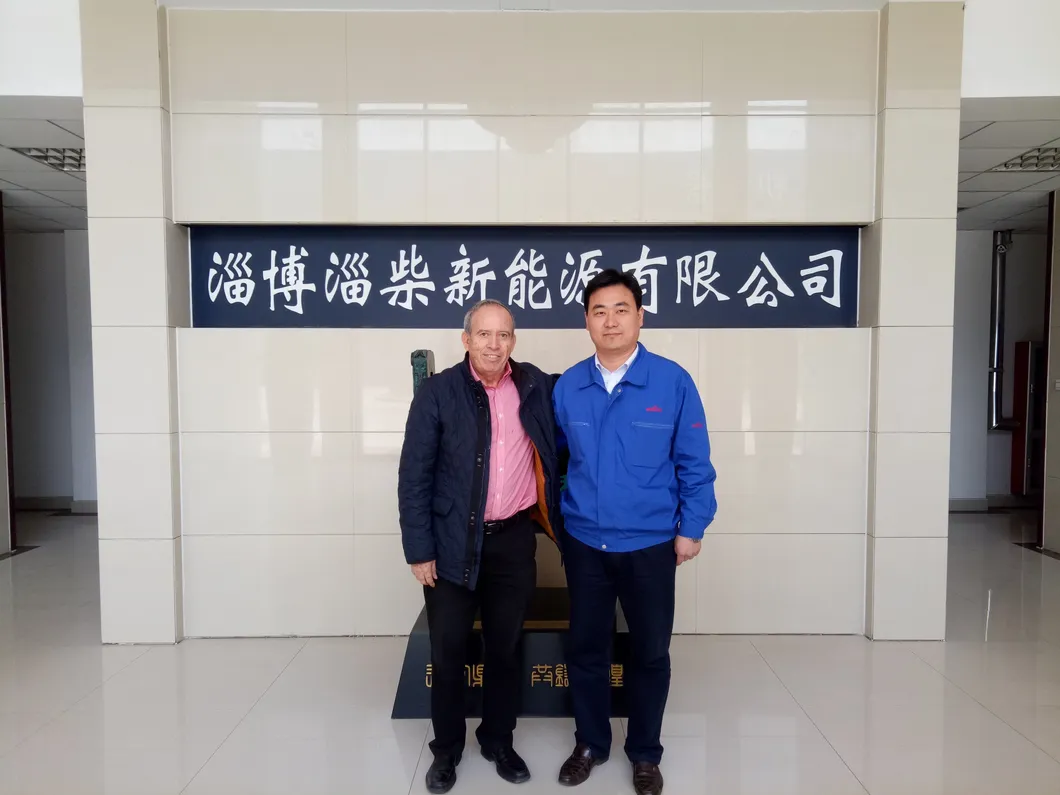 High Quality Factory Supply Reliable Biogas Syngas Biomass Natural 450kw Gas Generator