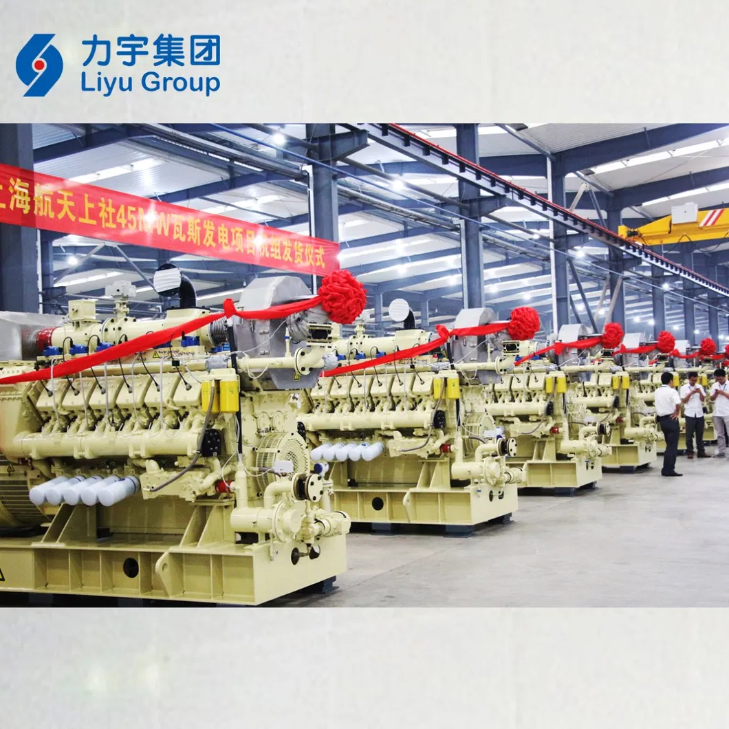Liyu Distributed Power Plants 1500kw High Economic Efficiency and Availability LV High Concentration Methane Gas Energy Generator Set