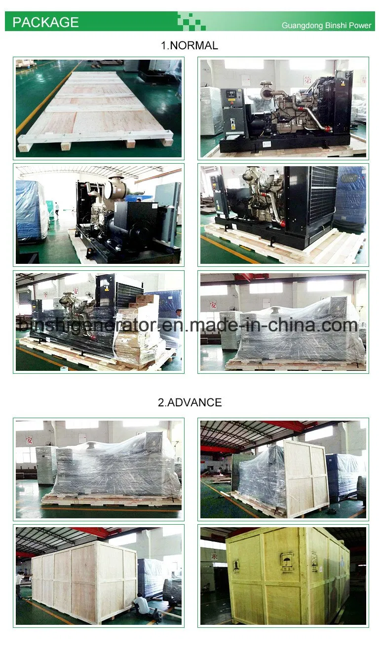 Mtu Diesel Generator Set (BMX520)