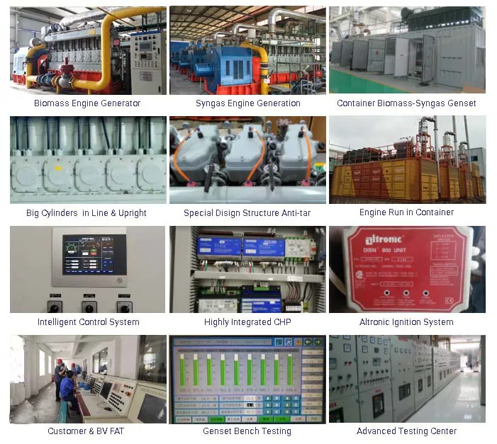 Natural Biogas LPG Biomass Syngas Woodchips Gas Power Generator