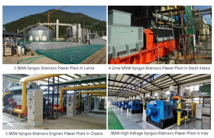 Natural Biogas LPG Biomass Syngas Woodchips Gas Power Generator