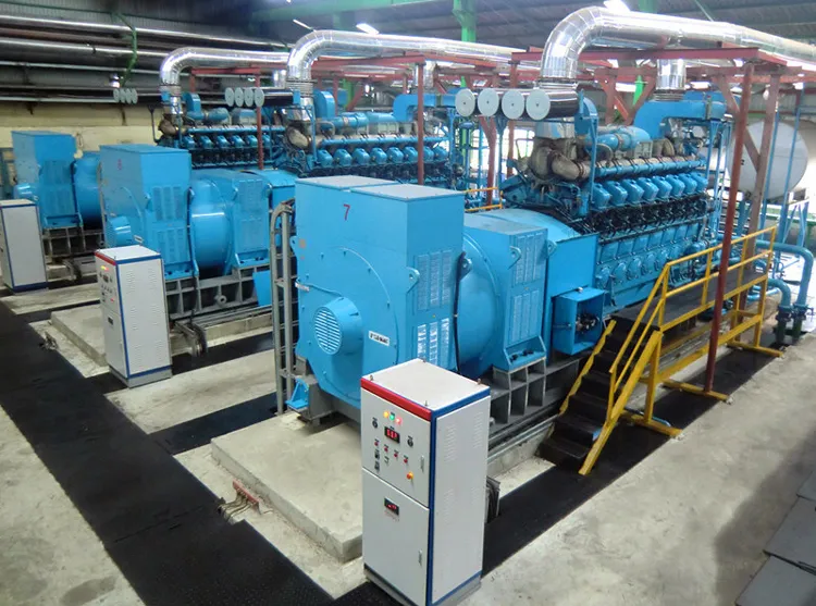 Natural Gas CHP & Cchp Cogenerator