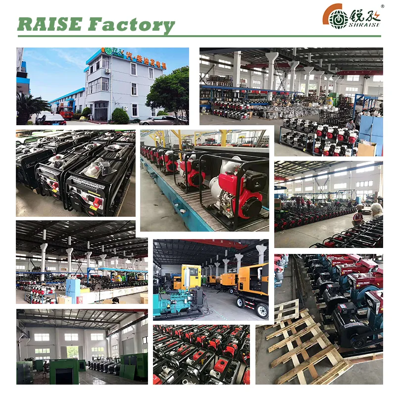 Raise G-Power 8kw/9kw/10kVA/11kVA Rated Power Single/3 Phases Recoil/Electric Start Open Type Gasoline/Petrol Generator