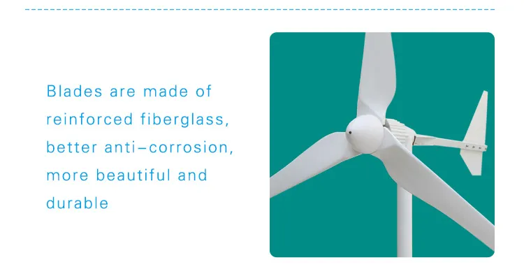 Residential 200W 12V 24V Wind Turbine (SHJ-200S)