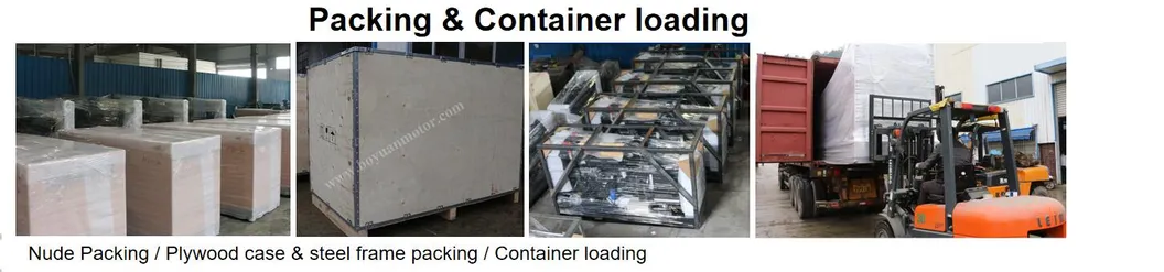 Ricardo Series Generating Sets Open Type 10kw~250kw