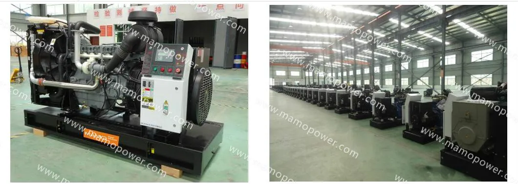 Single Phase Open/Silent Soundproof with Canopy 80kw 72kw Standby Deutz Engine Bf4m2012cg2 Power Electric Diesel Generator